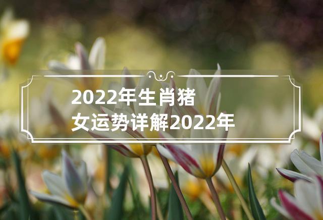 2023年生肖猪女运势详解 2023年属猪女