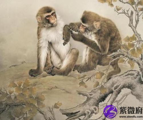 1932年属猴是什么命答:【水猴之命】1932年为农历壬申年,纳音为剑锋金