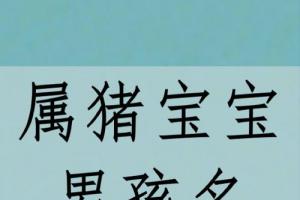 属猪宝宝的男孩名字宝宝起名宝宝取名字