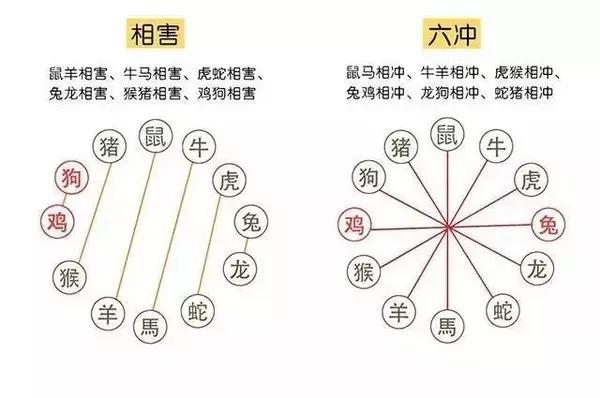 与属相相冲的人可以合作吗,和属相相冲的人在一起共事,如何提高自己的