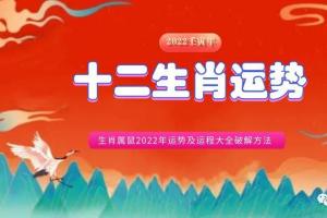 生肖属鼠2024年运势及运程大全破解方法