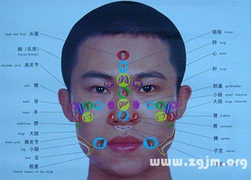 算命:面相额头纹