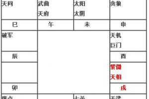 11.紫微天相在戌宫