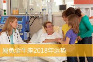 属兔金牛座2024年运势