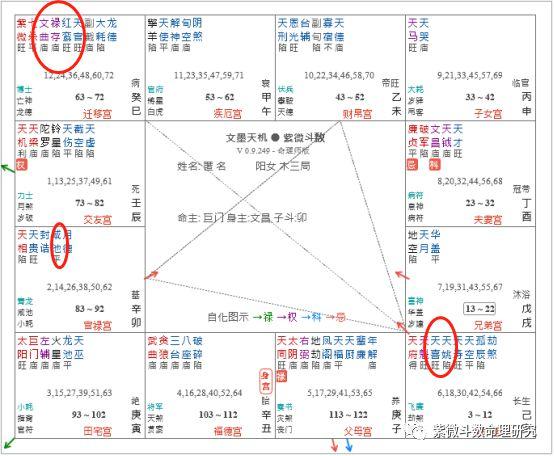 紫微斗数桃花星只能论桃花吗