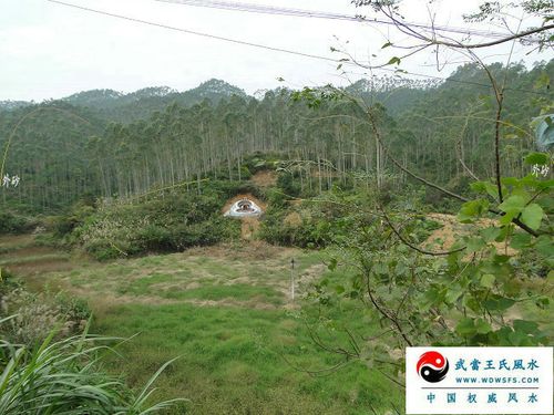 广西墓地风水螃蟹穴,风水大师王君植考察实例