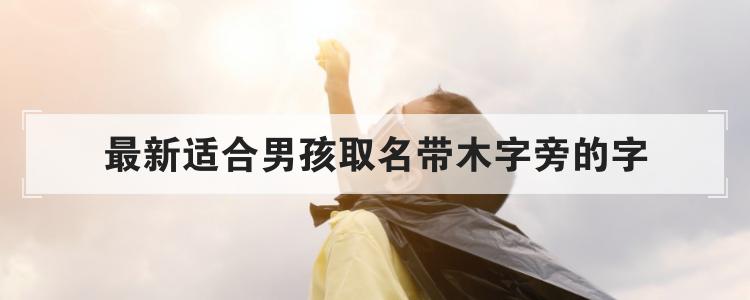 最新适合男孩取名带木字旁的字