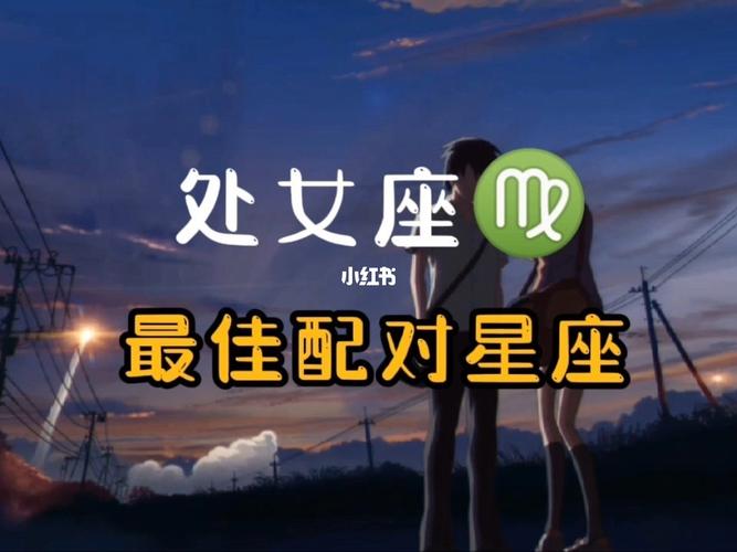 处女座79最佳配对星座