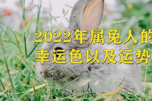 2024年属兔人的幸运色以及运势分析