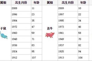62虚岁属鸡,62周岁属猴. 2024年十二生肖年龄对照表(虚岁)
