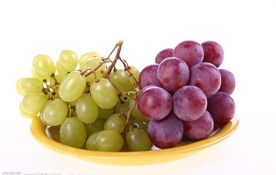 孕妇可以吃葡萄吗适当吃葡萄好处多