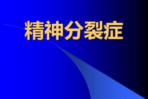 精神病学精神分裂症ppt课件