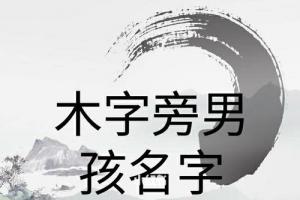 木字旁男宝宝名字