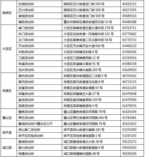 重庆启动少数民族居民身份证异地受理全市有受理点314个