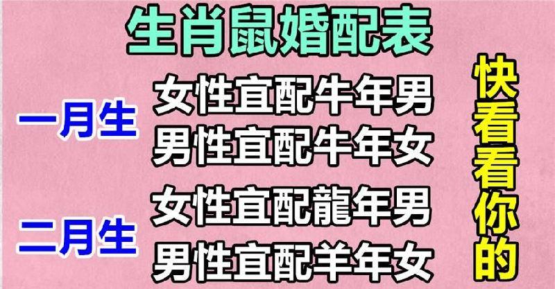 属鼠的婚配表,告诉你答案.