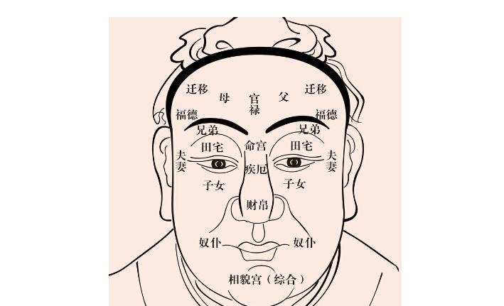 面相学是中国五术中的一种学问,主要从人的面上或身上的特征,行为举止