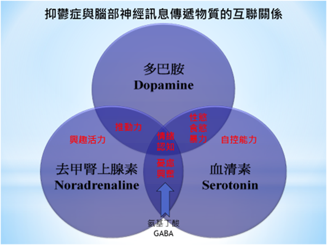 「 抑郁症」是一种因大脑功能失调而引起的情绪障碍,患者的大脑神经