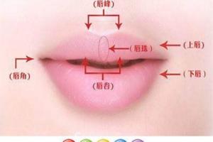 唇珠与没有唇珠的区别嘴唇面相分析