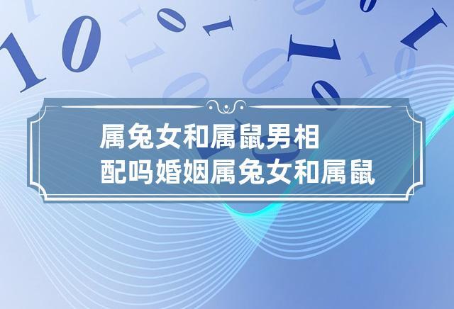 属兔女和属鼠男相配吗婚姻 属兔女和属鼠男相配吗能婚姻幸福吗