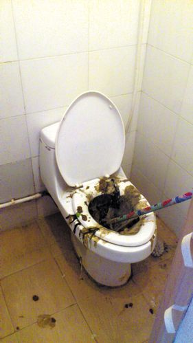 厕所堵塞,屎尿涌出……这恶心的一幕发生在爱干净的大学女生宿舍里.