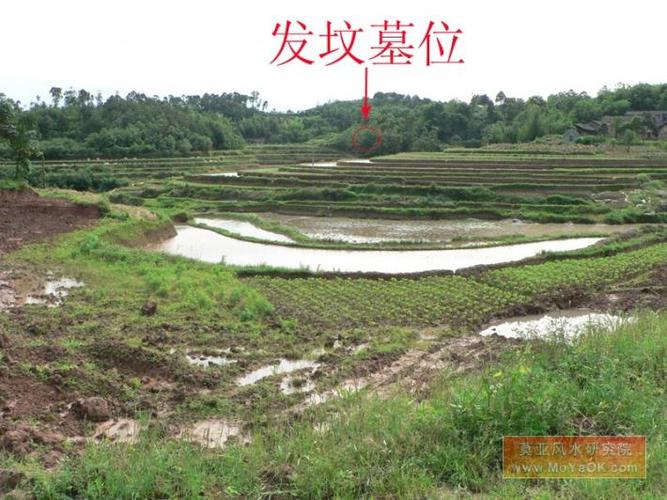 名人祖坟风水江津首富发坟