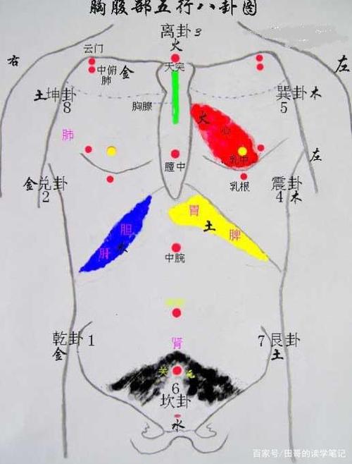 《周易》数理之——后天八卦对应人体部位与器官