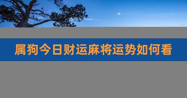 属狗今日财运麻将运势如何看