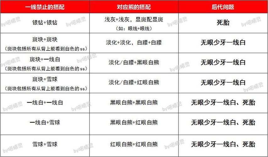 关于如何正确饲养仓鼠金丝熊 - 哔哩哔哩