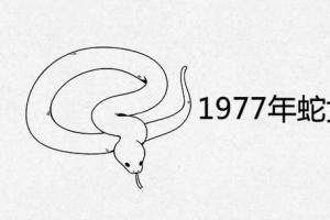 蛇女今年的运势 1977年属蛇46岁大劫年