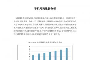 2024年手机网民数据分析docx6页