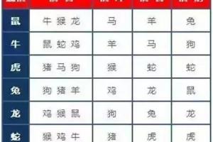 12生肖五行属什么五行属性,五行 属相 是什么