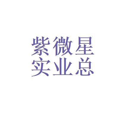 北京市紫微星实业总公司