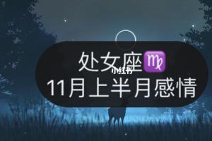 2024年11月上旬处女座7915爱情运势_处女座_星座命理_星座