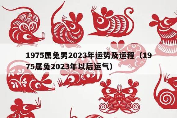 48岁1975年出生的属兔男命2023年上半年运气如何 运势详解?