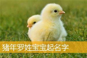 猪年罗姓宝宝起名字