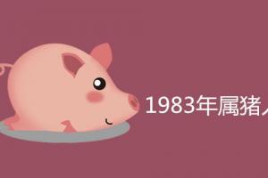 1983年属猪人2024运程解析
