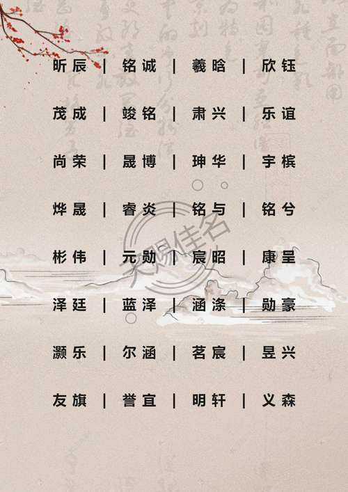 宝宝起名字鼠宝宝男宝(鼠宝宝起名字大全男孩名字)