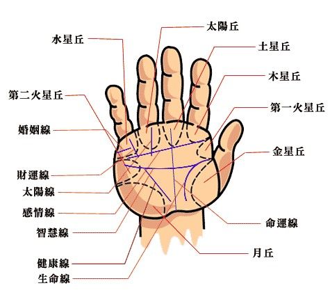 手相算命图解大全_专业学术_华人开运网