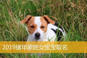 2024猪年蒙姓女宝宝取名