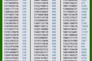 中国移动北京手机号电话卡号码卡全球通139的豹子号aaaa吉利能量风水