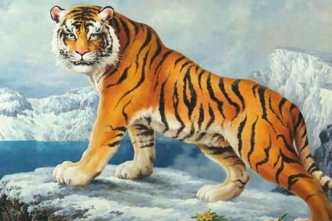 1986年属虎人2023年命运36岁生肖虎在虎年每月运程
