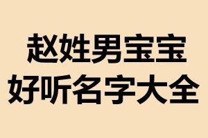 赵和刘怎么起名字(姓赵的兔宝宝取什么名字好)