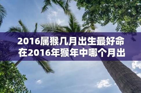 2023属猴几月出生最好命 在2023年猴年中哪个月出生的人命运最好