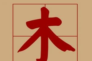 宝宝起名:木字旁的字