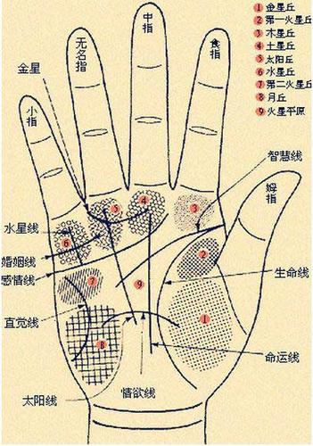 男人手相图解,男人手相算命,男人真实手相图解大全