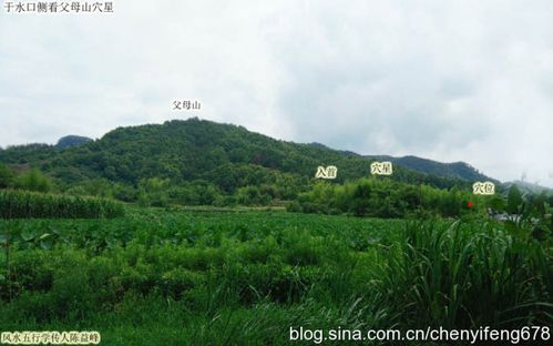 陈益峰:左迎右抱主宾迎,亿万富翁的祖坟-建筑风水学-筑龙建筑设计论坛