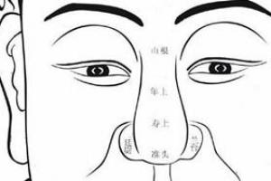 在面相中,鼻子又可以分成四等份,从两眼之中的印堂起,依续而下为山根