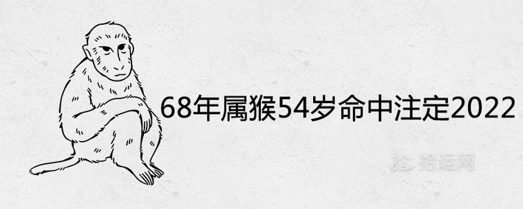 68年属猴54岁命中注定2023财运及运势如何