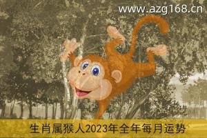 生肖属猴人2023年全年每月运势
