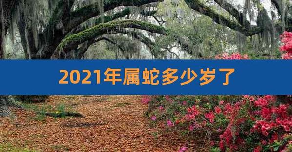 2023年属蛇多少岁了,1965属蛇最忌几月出生